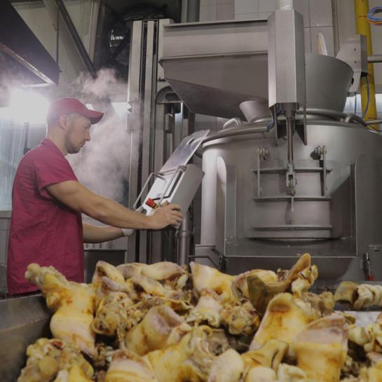 Первичная обработка кишечного сырья